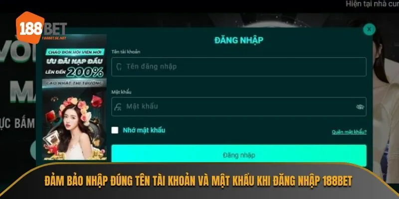 Đảm bảo nhập đúng tên tài khoản và mật khẩu khi đăng nhập 188Bet