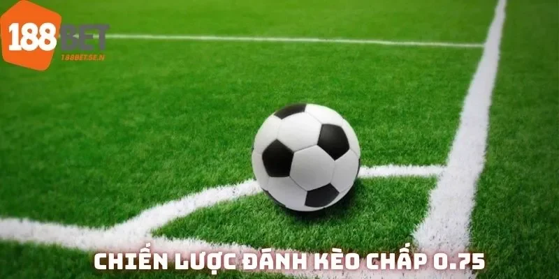 Chiến lược và kinh nghiệm đánh kèo là điều tiên quyết cho thắng lợi