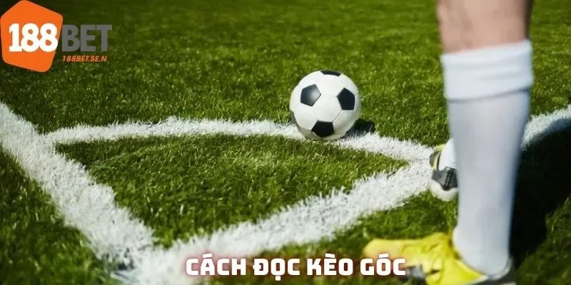 Cách đọc corner bet đơn giản, dễ hiểu nhất