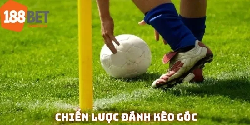 Cần có kinh nghiệm, chiến thuật rõ ràng trước khi xuống tiền