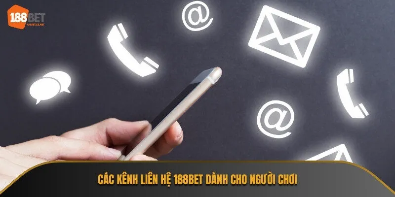 Sử dụng kênh liên hệ phù hợp để tiết kiệm thời gian và công sức